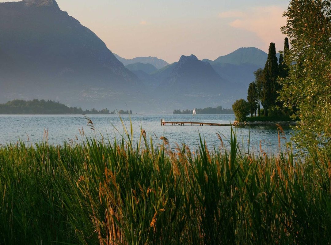 Pricing Context: Historical and Future Trends