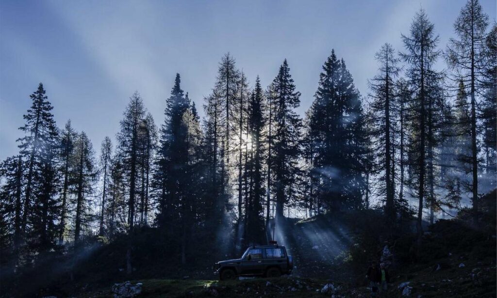 how to pass a cpr certification jexplifestyle