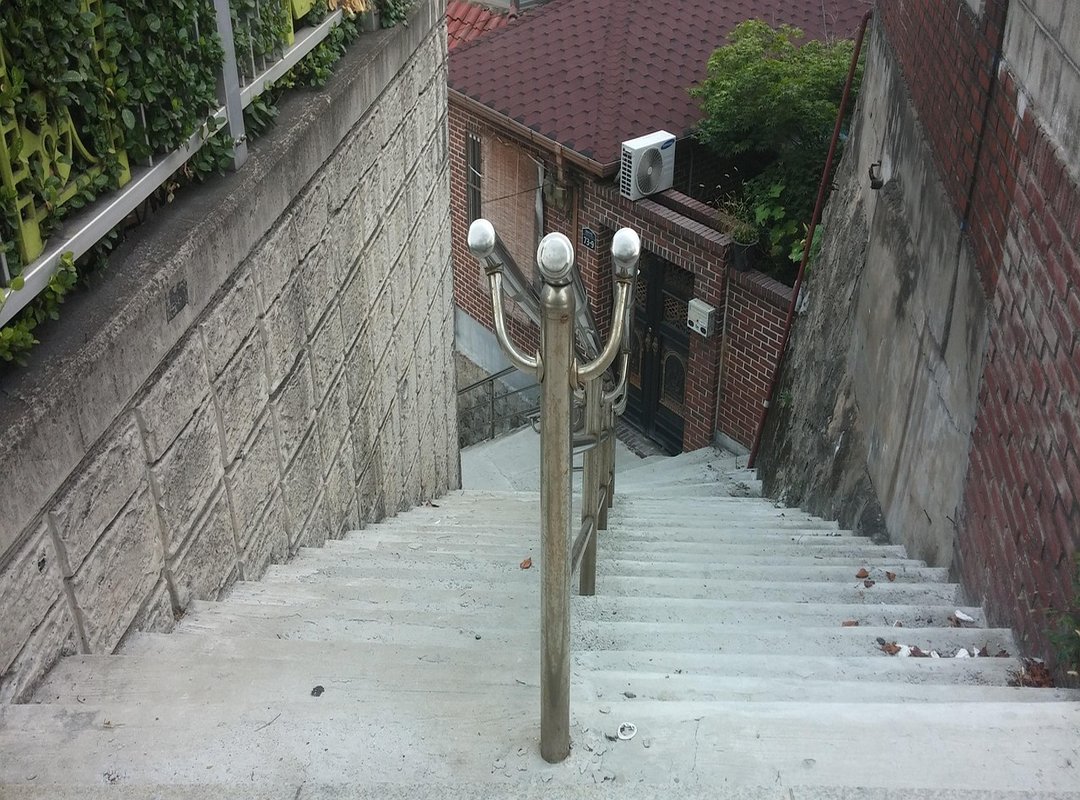 Comparing Different Aspects of the Trend