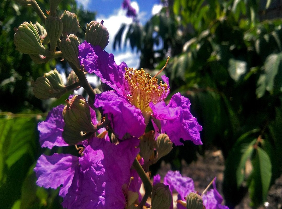 Signature Styles and Must-Have Pieces