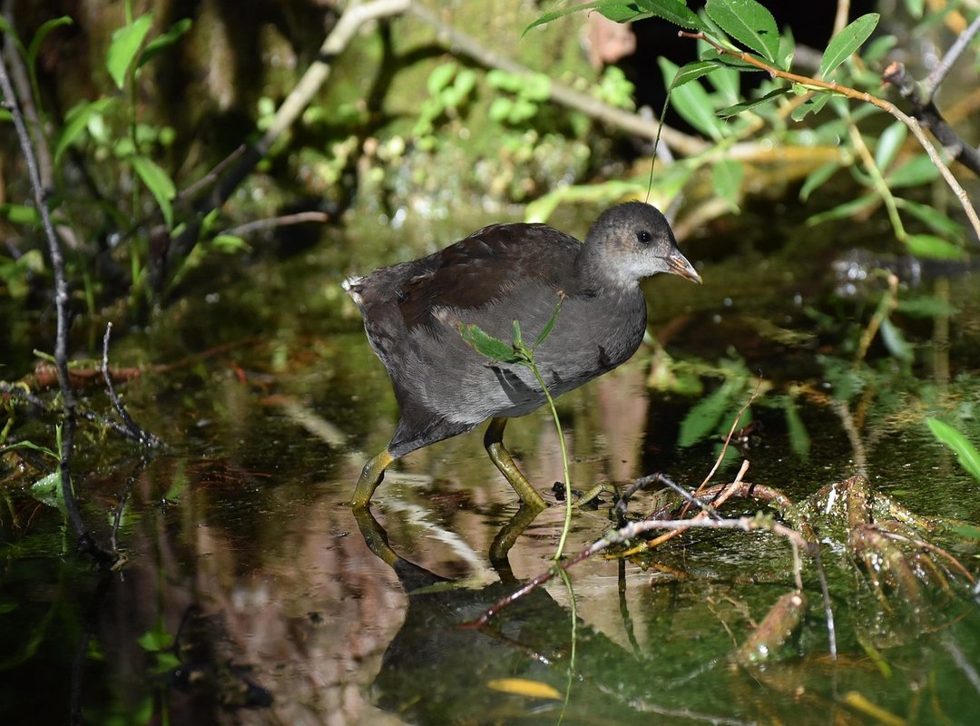 Power of Sisterhood Ewmsister