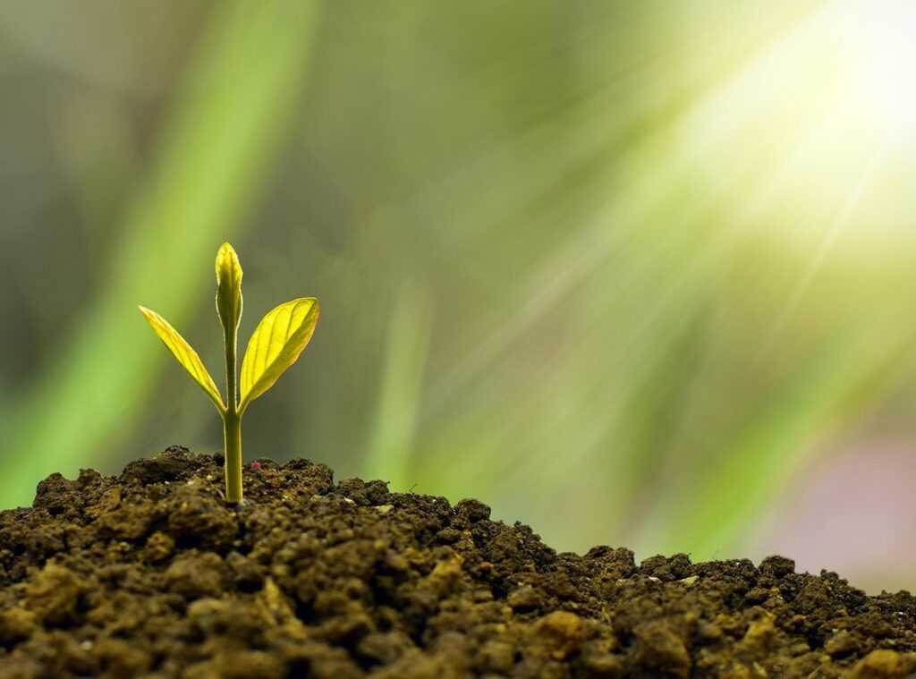 sustainable fashion future