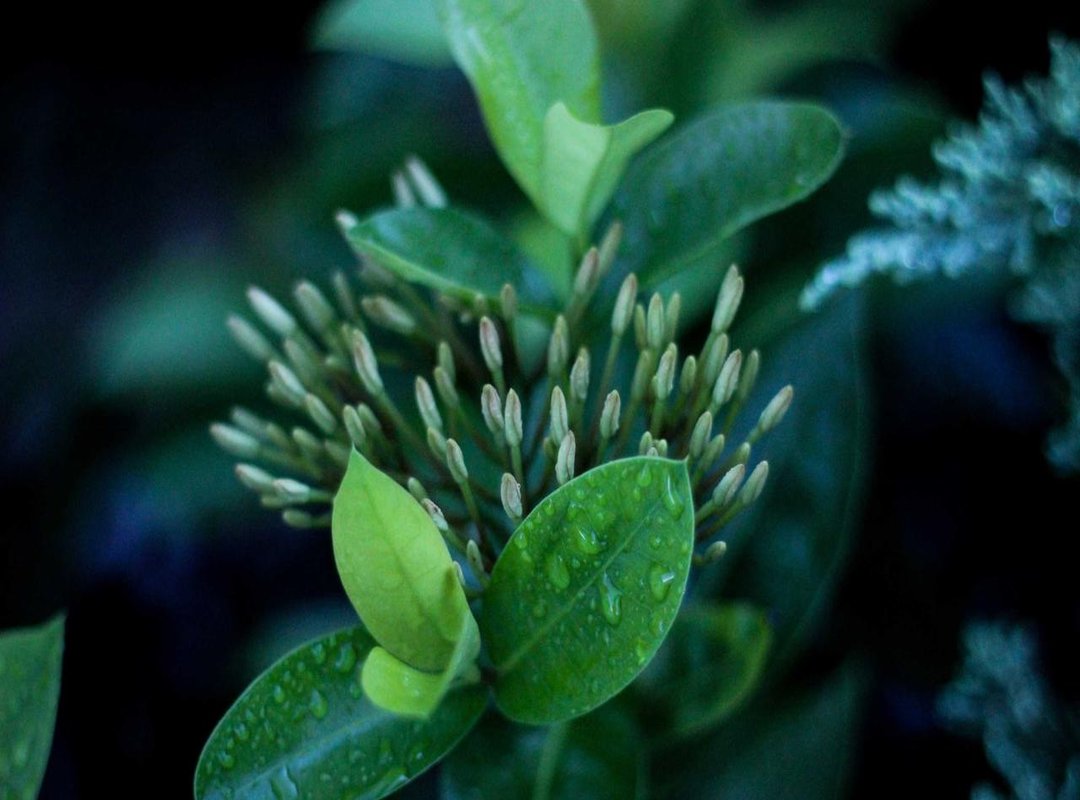 Staying Safe: Best Practices for Viewing and Downloading