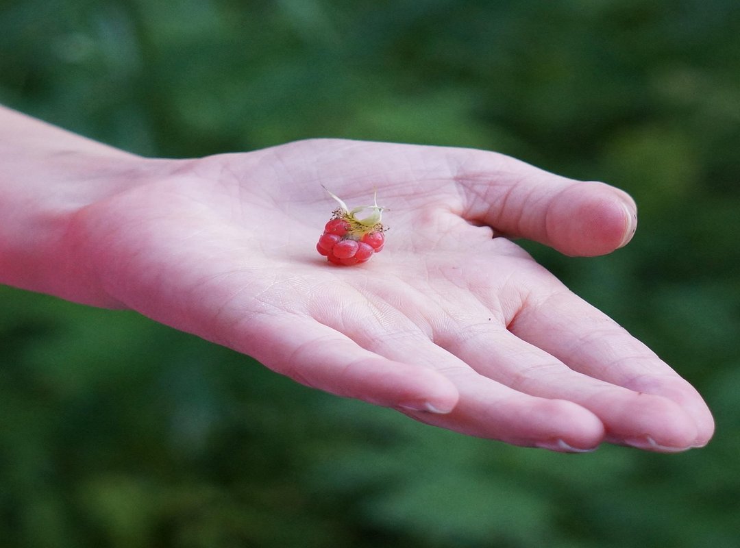 The Family Whatutalkingboutwillistyle