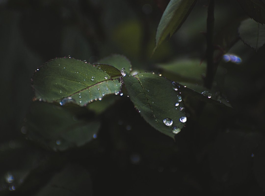 Frequently Asked Questions from the Patient Leaflet